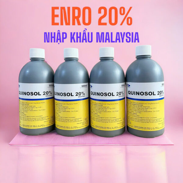 ENRO MALAYSIA